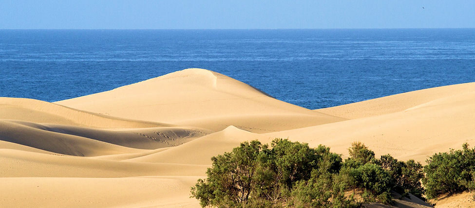 Gran Canaria reptéri transzfer